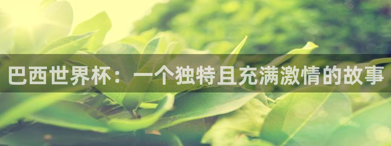 世界杯预选赛欧洲赛区积分榜:巴西世界杯:一个独特且充满激情的故事