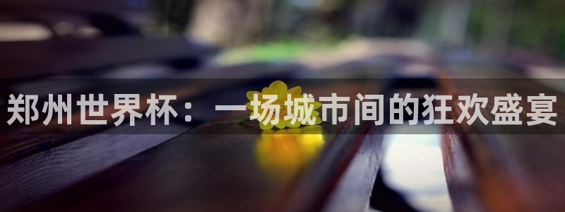世界杯赛程表:郑州世界杯:一场城市间的狂欢盛宴