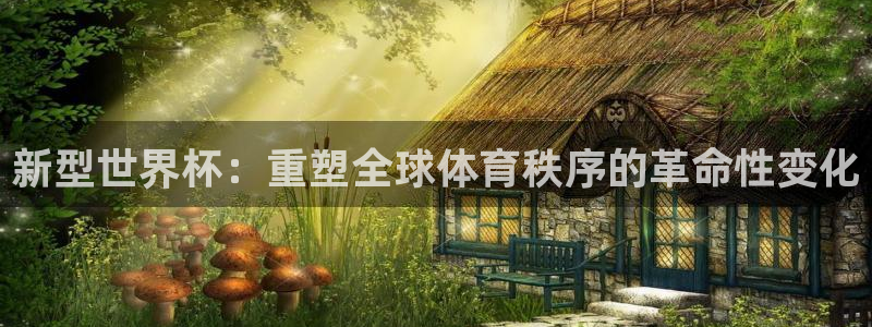 2006年世界杯:新型世界杯:重塑全球体育秩序的革命性变化
