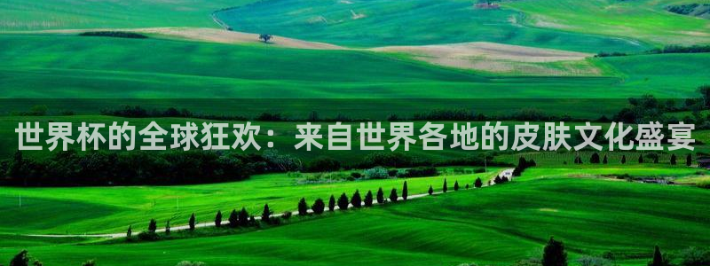 法国杯2026赛程表:世界杯的全球狂欢:来自世界各地的皮肤文化盛宴