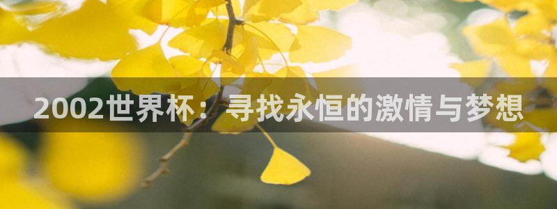 世界杯直播时间:2002世界杯:寻找永恒的激情与梦想