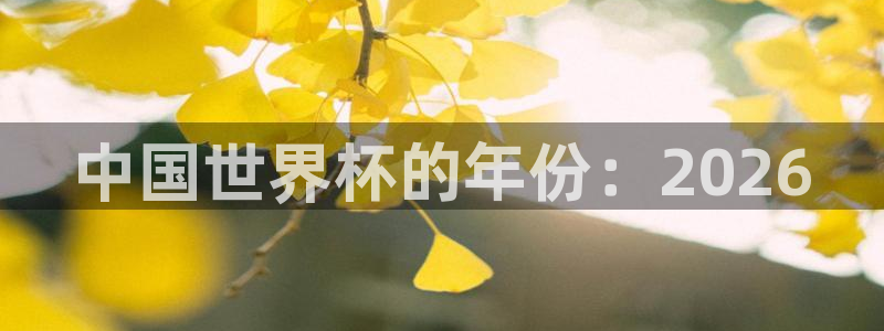 世界杯2026赛程时间表格:中国世界杯的年份:2026